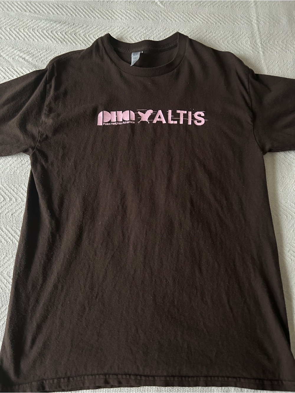 Palm Heights Athletics Graphic Tee
